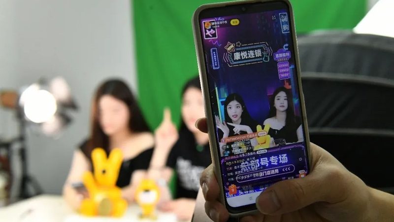 长途搬家，宠物如何安全托运？检疫证明办理攻略